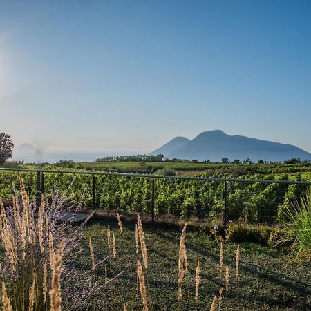 Tenuta Di Castellaro Winery & Resort Lipari  Exteriér fotografie